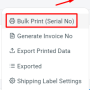 more_bulk_print.png
